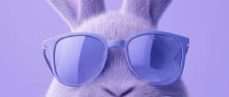 White rabbit wearing blue sunglasses on a purple background