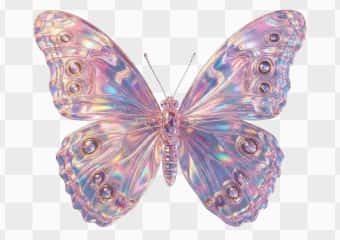 Illustration ready for high-resolution export