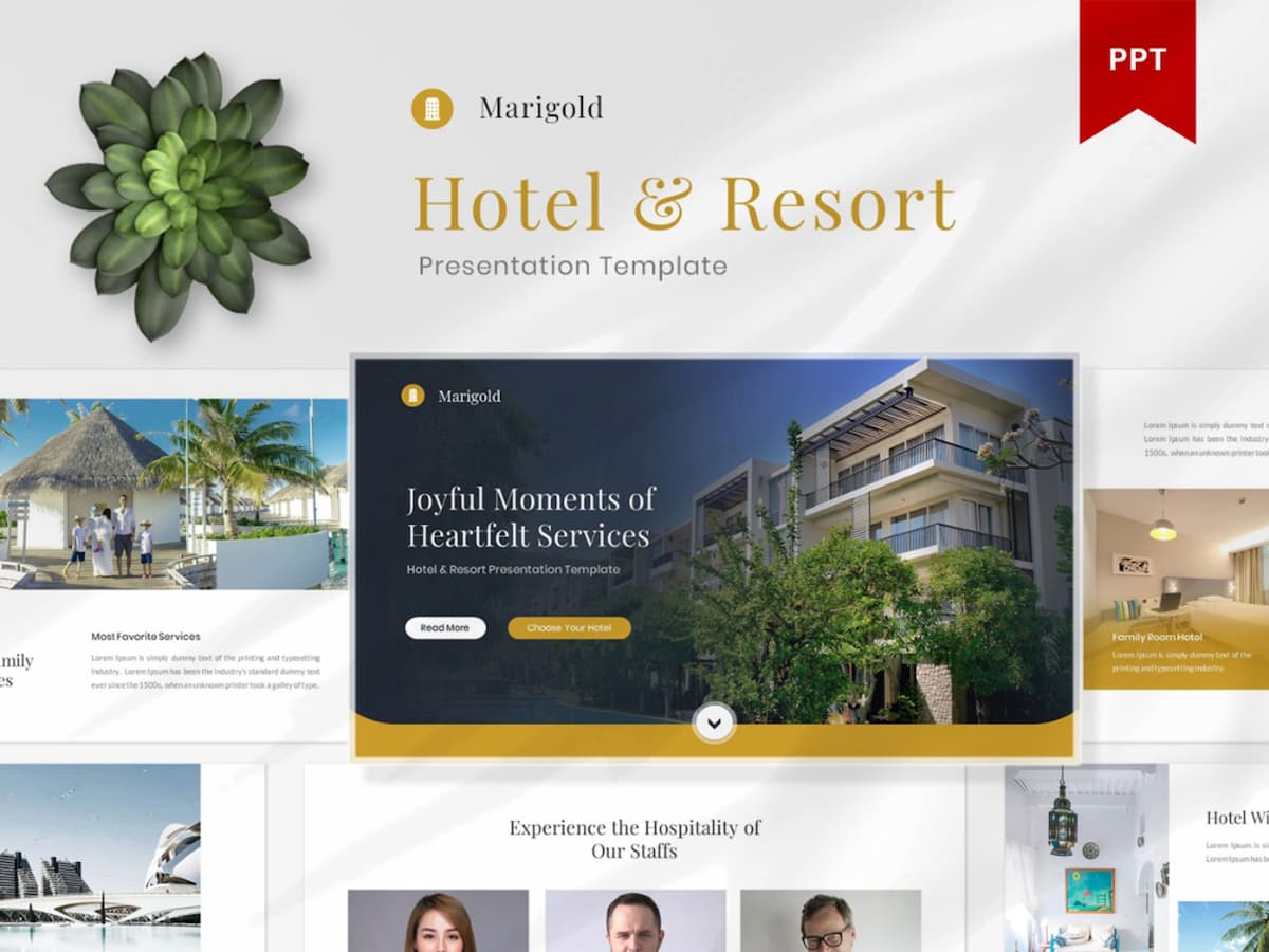 Marigold- Hotel and Resort PowerPoint Presentation