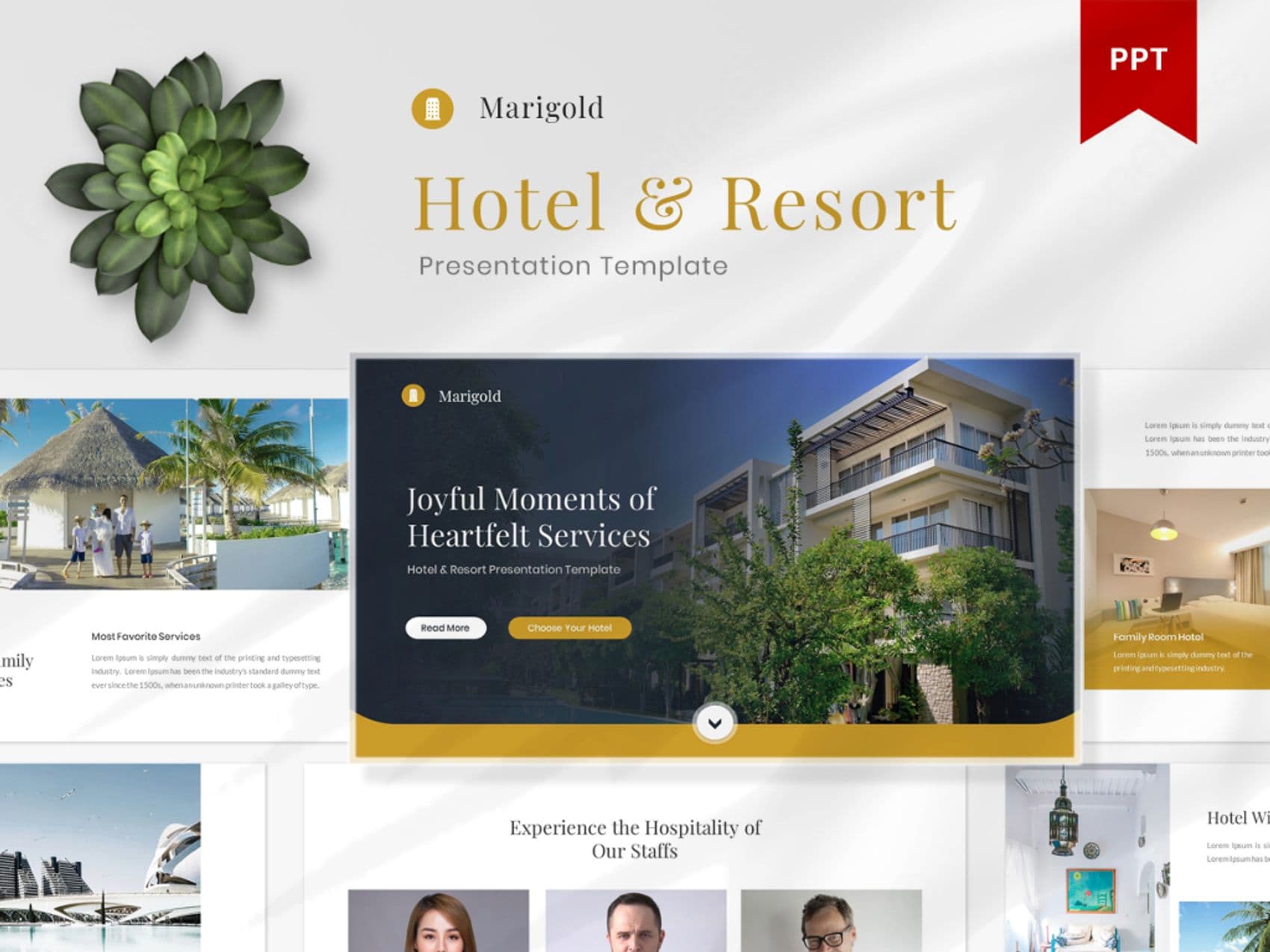 Marigold- Hotel and Resort PowerPoint Presentation